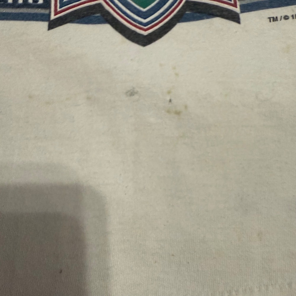 Vintage Dallas Cowboys 1993 Super Bowl XXVII‎ Champs Tee Salem Sportswear USA M - Picture 7 of 9